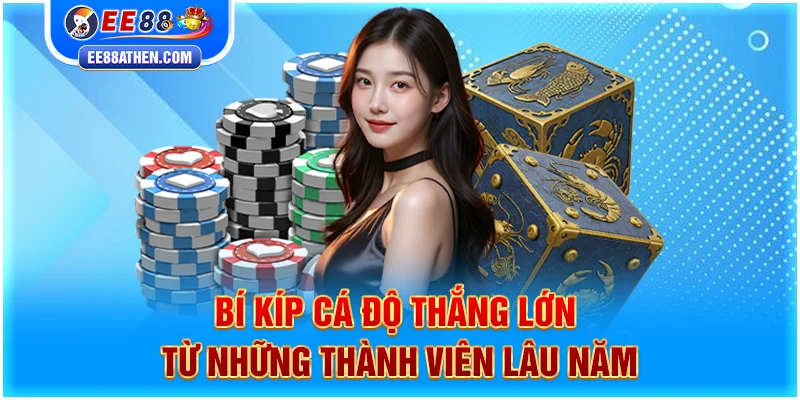 Bí kíp cá độ thắng lớn từ những thành viên lâu năm
